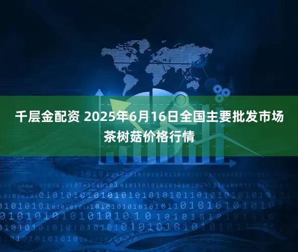 千层金配资 2025年6月16日全国主要批发市场茶树菇价格行情