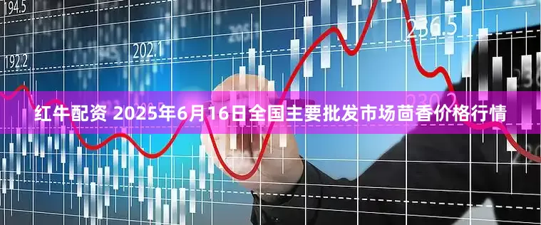 红牛配资 2025年6月16日全国主要批发市场茴香价格行情