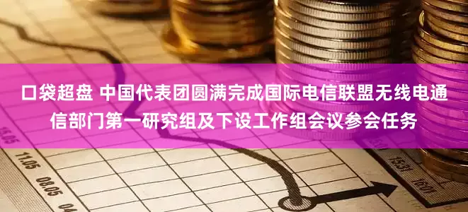口袋超盘 中国代表团圆满完成国际电信联盟无线电通信部门第一研究组及下设工作组会议参会任务