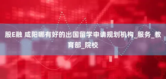 股E融 咸阳哪有好的出国留学申请规划机构_服务_教育部_院校