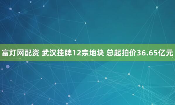 富灯网配资 武汉挂牌12宗地块 总起拍价36.65亿元
