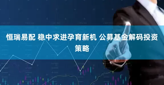 恒瑞易配 稳中求进孕育新机 公募基金解码投资策略